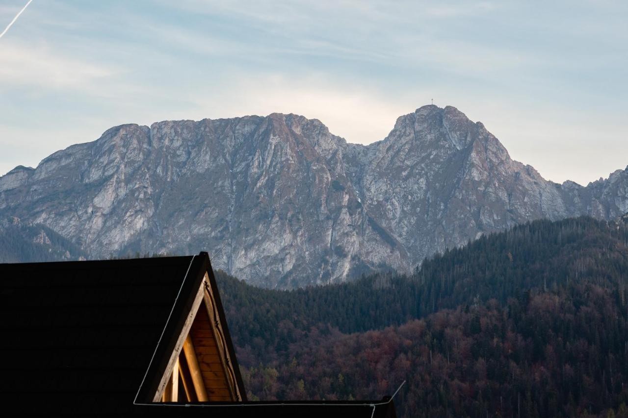Apartamenty Rezydencja Karpielowka Kościelisko Dış mekan fotoğraf